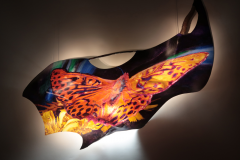 “Val Verzasca papillon”, 2018