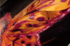 “Val Verzasca papillon”, 2018